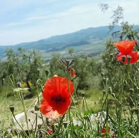 Colombaio In Colle * Sant'Angelo in Colle