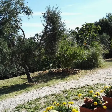 לינה וארוחת בוקר Colombaio In Colle Sant'Angelo in Colle